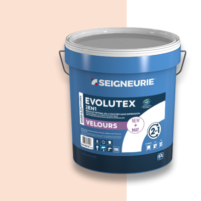 Peinture Seignerie Evolutex.